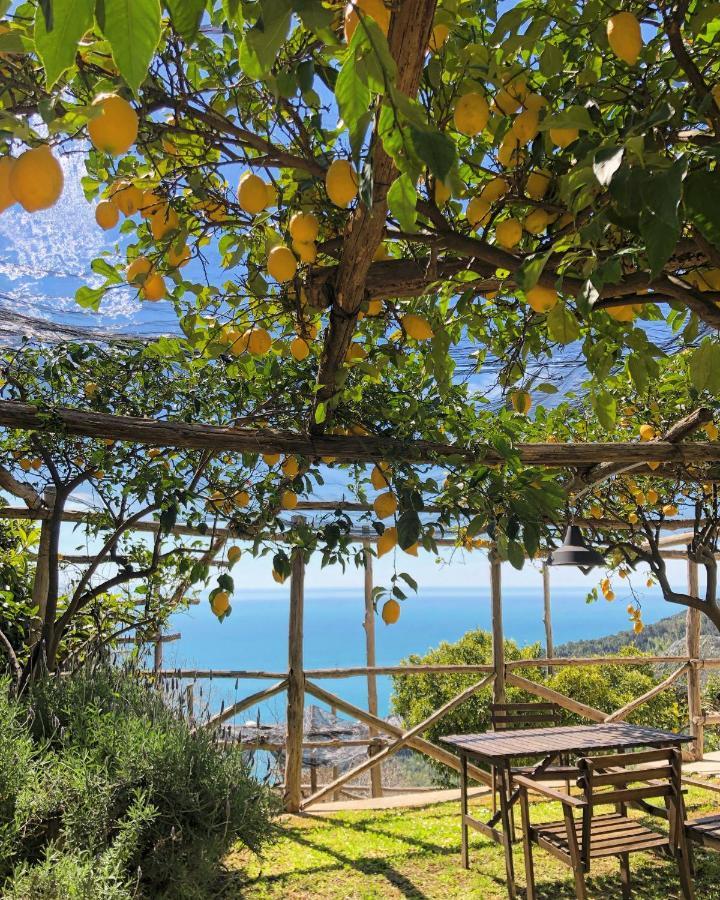 Casa Flora Bed & Breakfast Vietri sul Mare Exterior photo