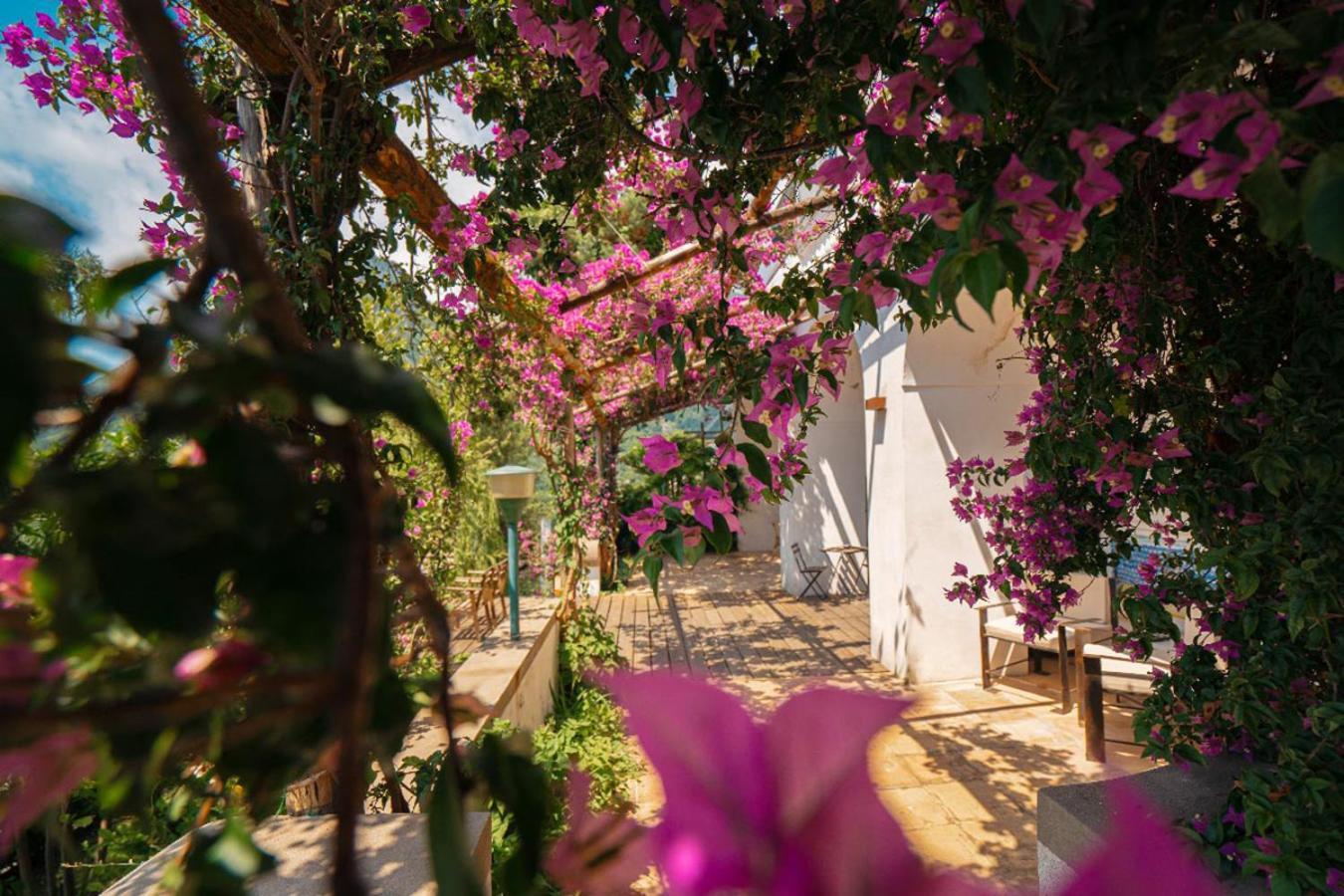 Casa Flora Bed & Breakfast Vietri sul Mare Exterior photo